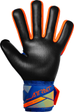 Reusch Attrakt Freegel Duo NC 5670025 4127 blue back